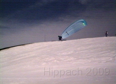 HIPP13.BMP