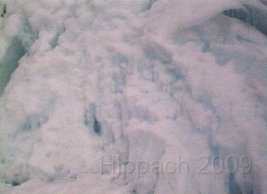 HIPP131.BMP