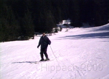 HIPP31.BMP