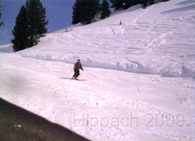 HIPP39.BMP