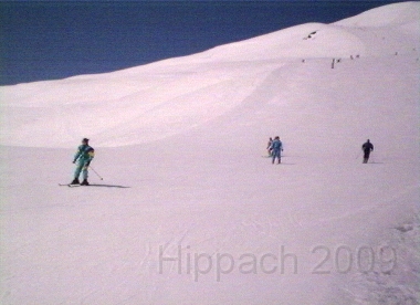 HIPP60.BMP