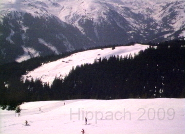 HIPP66.BMP