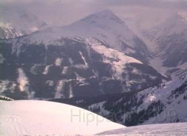 HIPP81.BMP