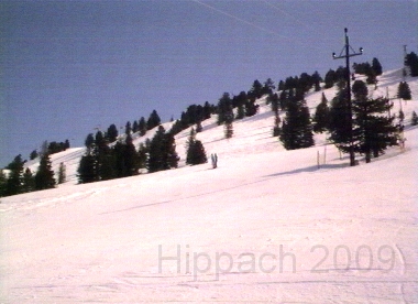 HIPP96.BMP