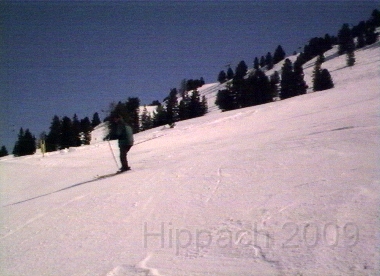 HIPP99.BMP