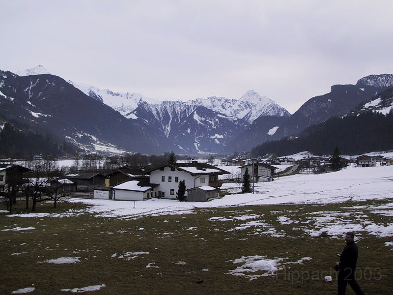 IMG_4113.JPG