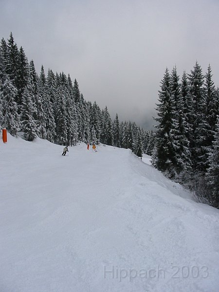 IMG_0429.JPG