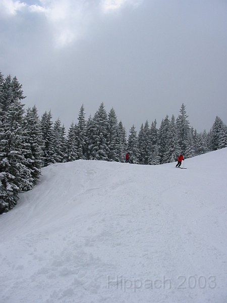 IMG_0430.JPG