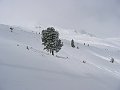 IMG_0398
