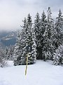IMG_0428