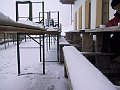 IMG_4207