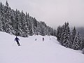 IMG_4217