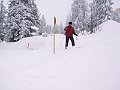 IMG_4237