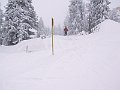 IMG_4239