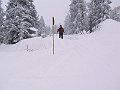 IMG_4240