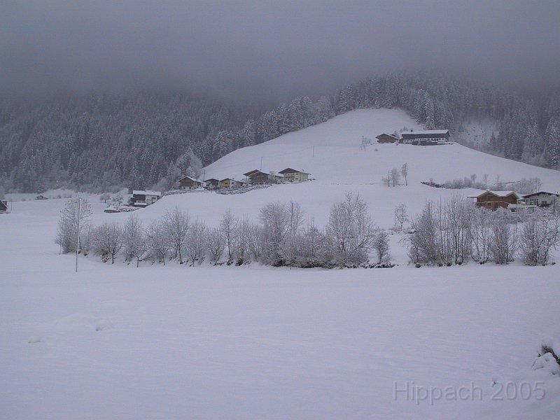 170-7051_IMG.JPG