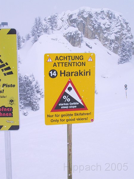 170-7068_IMG.JPG