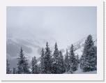 DSC05349 * 2048 x 1536 * (1.38MB)