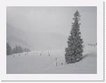 DSC05373 * 2048 x 1536 * (1.11MB)
