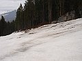 DSC07004