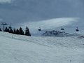 Hippach20110315_008