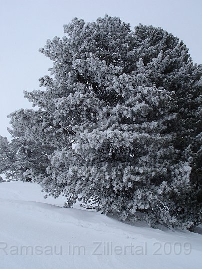 Ramsau20090306_004.jpg