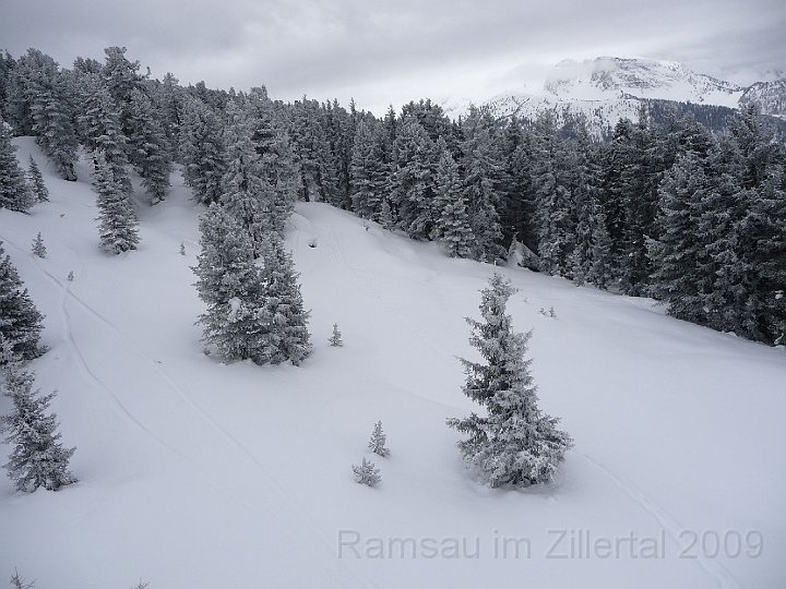 Ramsau20090306_026.jpg