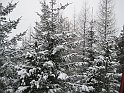 Ramsau20090306_012