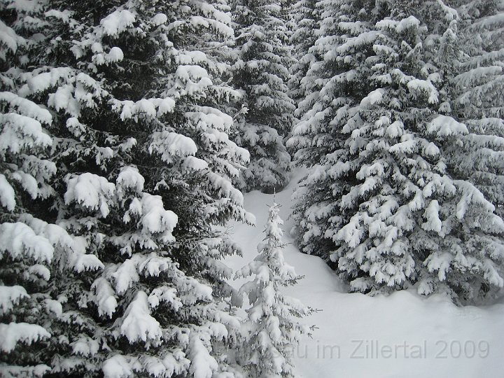 Ramsau20090307_010.jpg