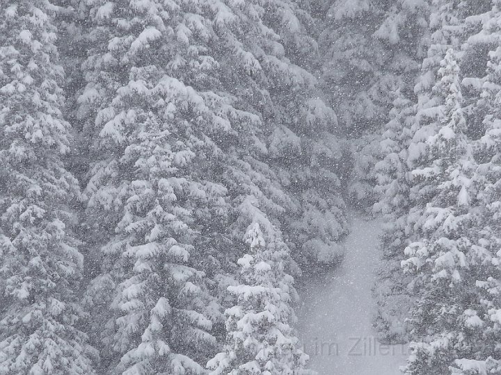 Ramsau20090307_055.jpg