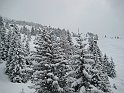 Ramsau20090307_012