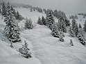Ramsau20090307_019