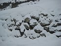 Ramsau20090307_023