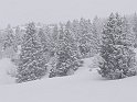 Ramsau20090307_058