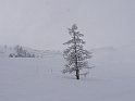 Ramsau20090307_068