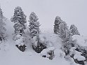 Ramsau20090307_076